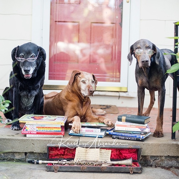 Meet your Posher, Kristen - Picture 3 of 5